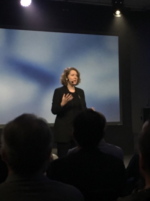 a speaker on a stage in front of a screen, seen from the audience